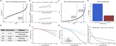 Towards a precision approach to anesthetic/analgesic immunomodulation in cancer